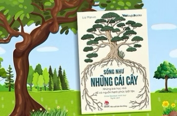 Sống Như Những Cái Cây – Học Hạnh Phúc Từ Thiên Nhiên