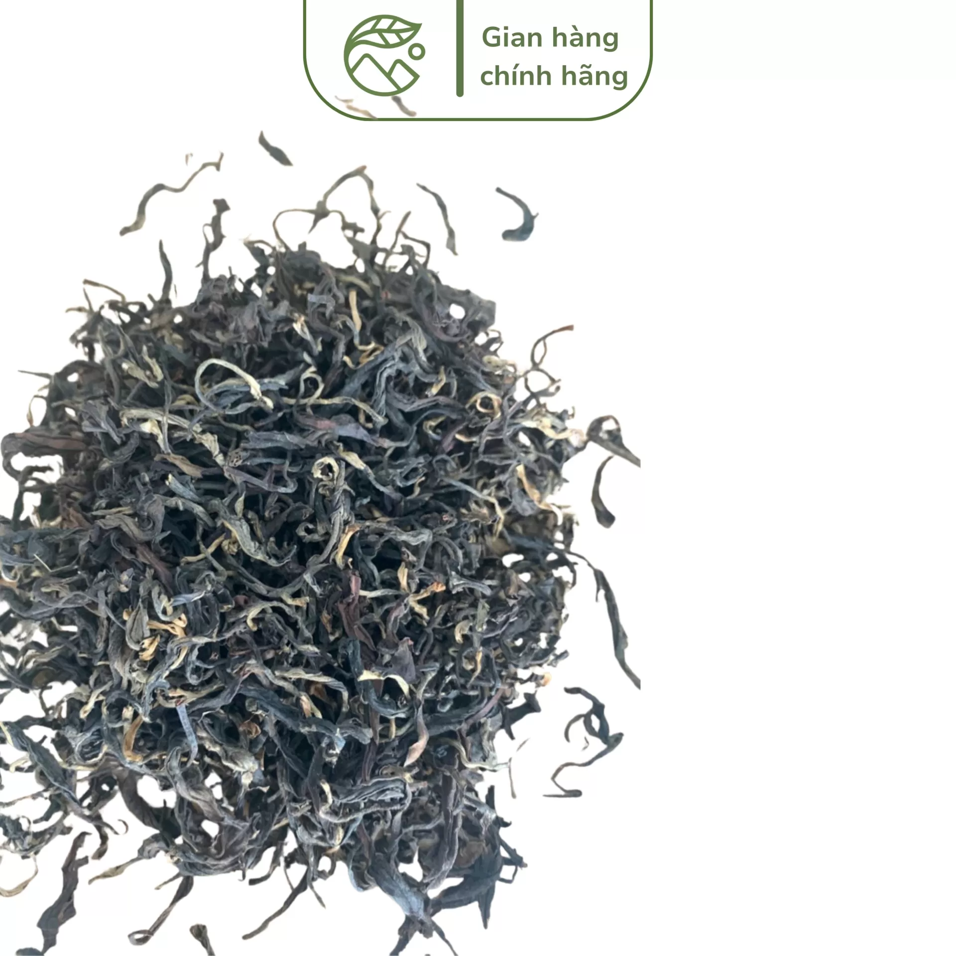 Hồng Trà Shan Tuyết Suối Giàng